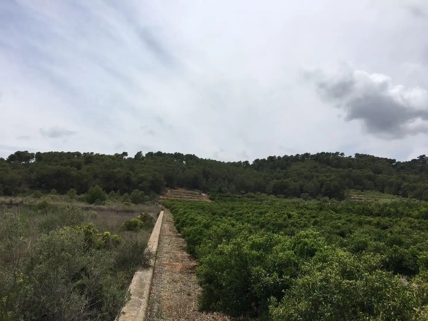 Rural land for sale in Ptda Miravet, imagen 6