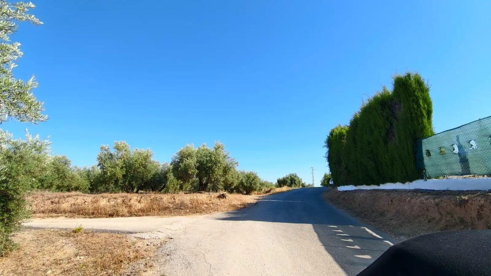 Terreni e lotti in vendita a Camino Cogollos de la Vega 11, imagen 8