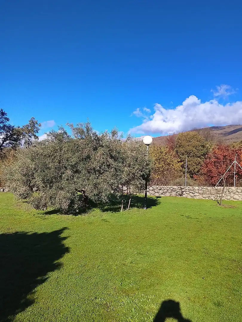 Jardín de Terreno en venta en Candeleda