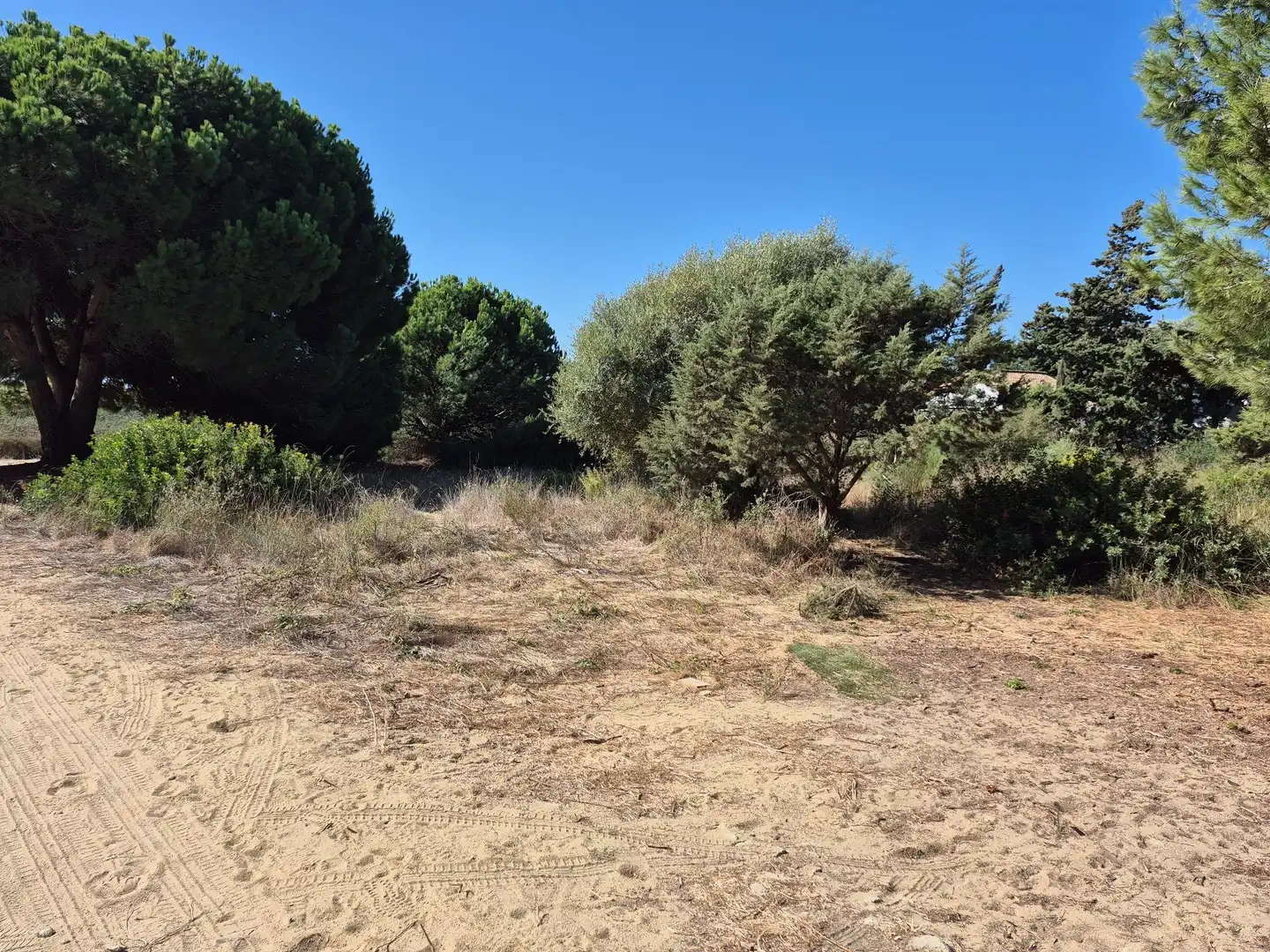 Terreno rustico in vendita a Los Caños de Meca, imagen 3