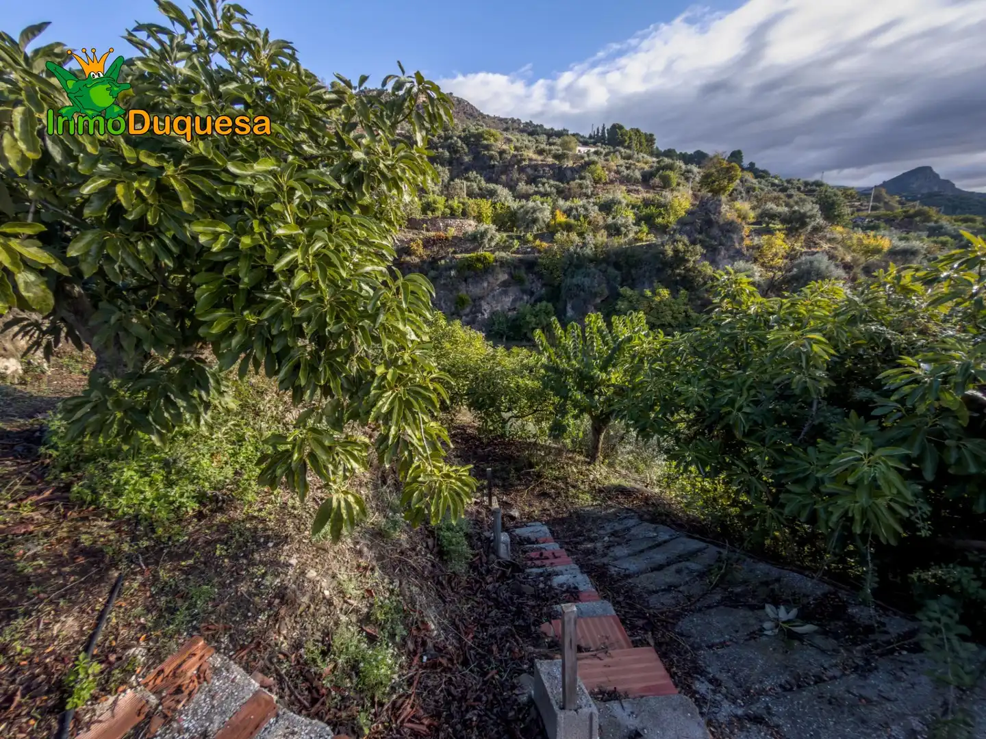 Casa rústica en venta en Calle Diseminados, Pol-8 Par-359 000, imagen 32