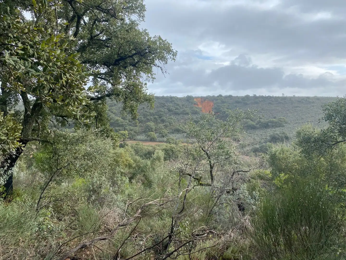 Terreno en venta en Anchuras
