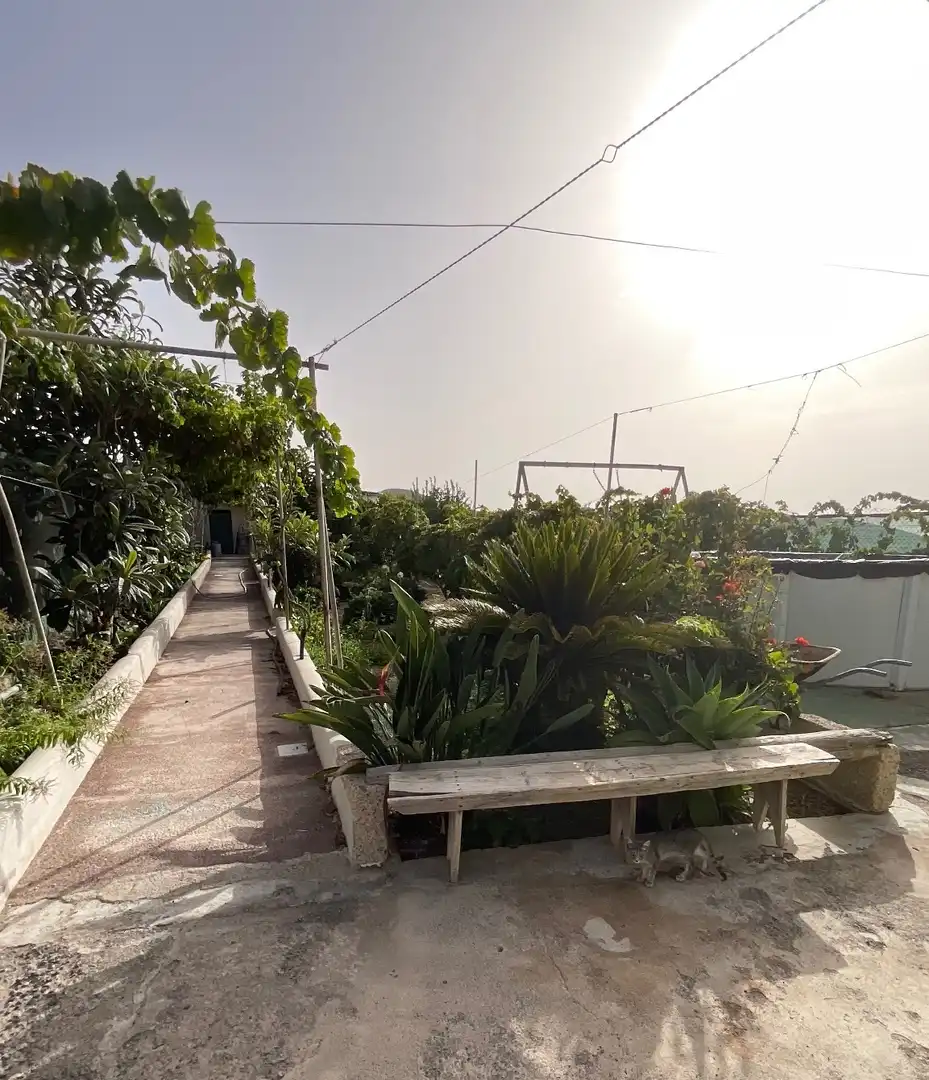 Garden of Houses for sale in Granadilla de Abona