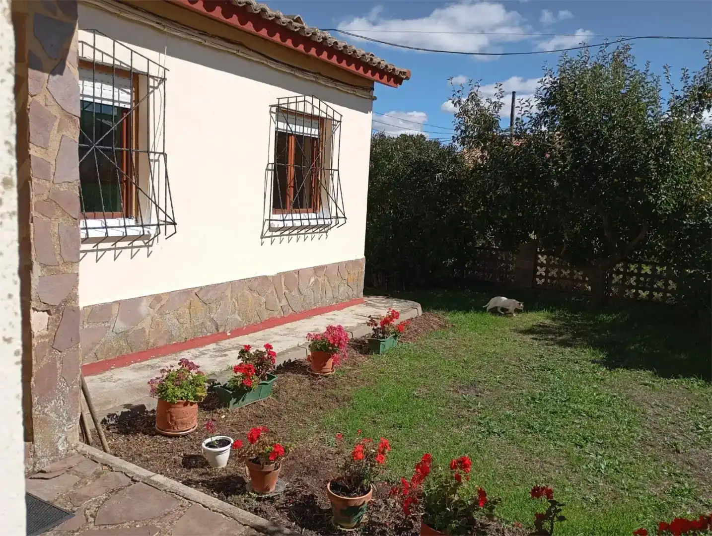 Jardí de Casa o xalet en venda en Herrera de Pisuerga amb Jardí privat, Moblat i Forn