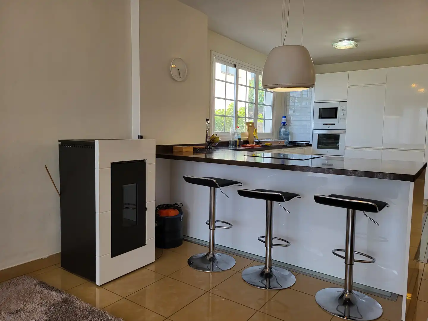 House with terrace for sale in Zona Botánico, imagen 9