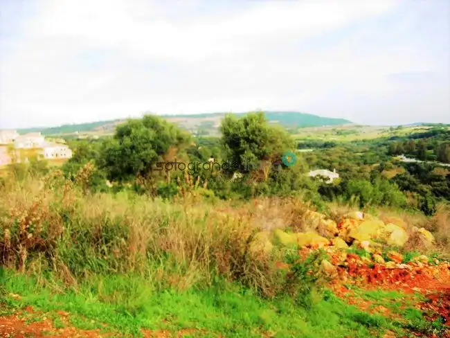 Terrenys i solars en venda a Sotogrande Alto