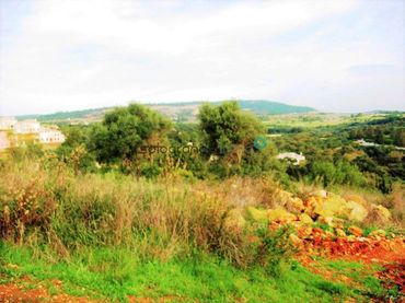 Terrenos y solares en venta en Sotogrande Alto
