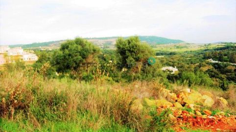Parcela en venta en Sotogrande Alto.