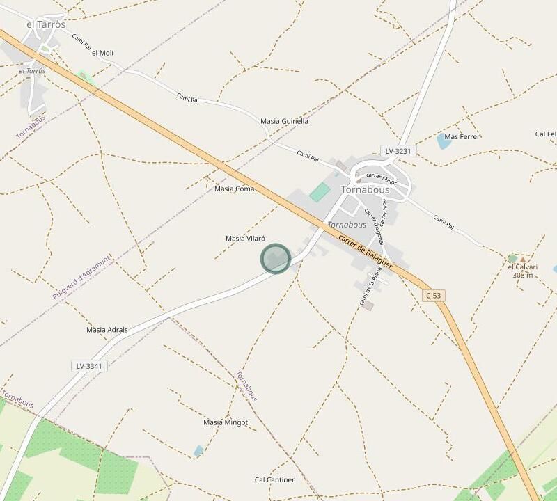 Exterior view of House or chalet for sale in Tornabous