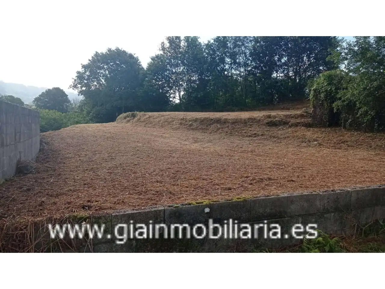 Terrenys i solars en venda a Calle Arcos