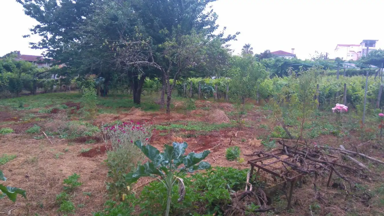 Residential land for sale in O Carballiño, imagen 2