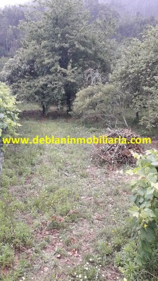 Rural land for sale in Arbo, imagen 3
