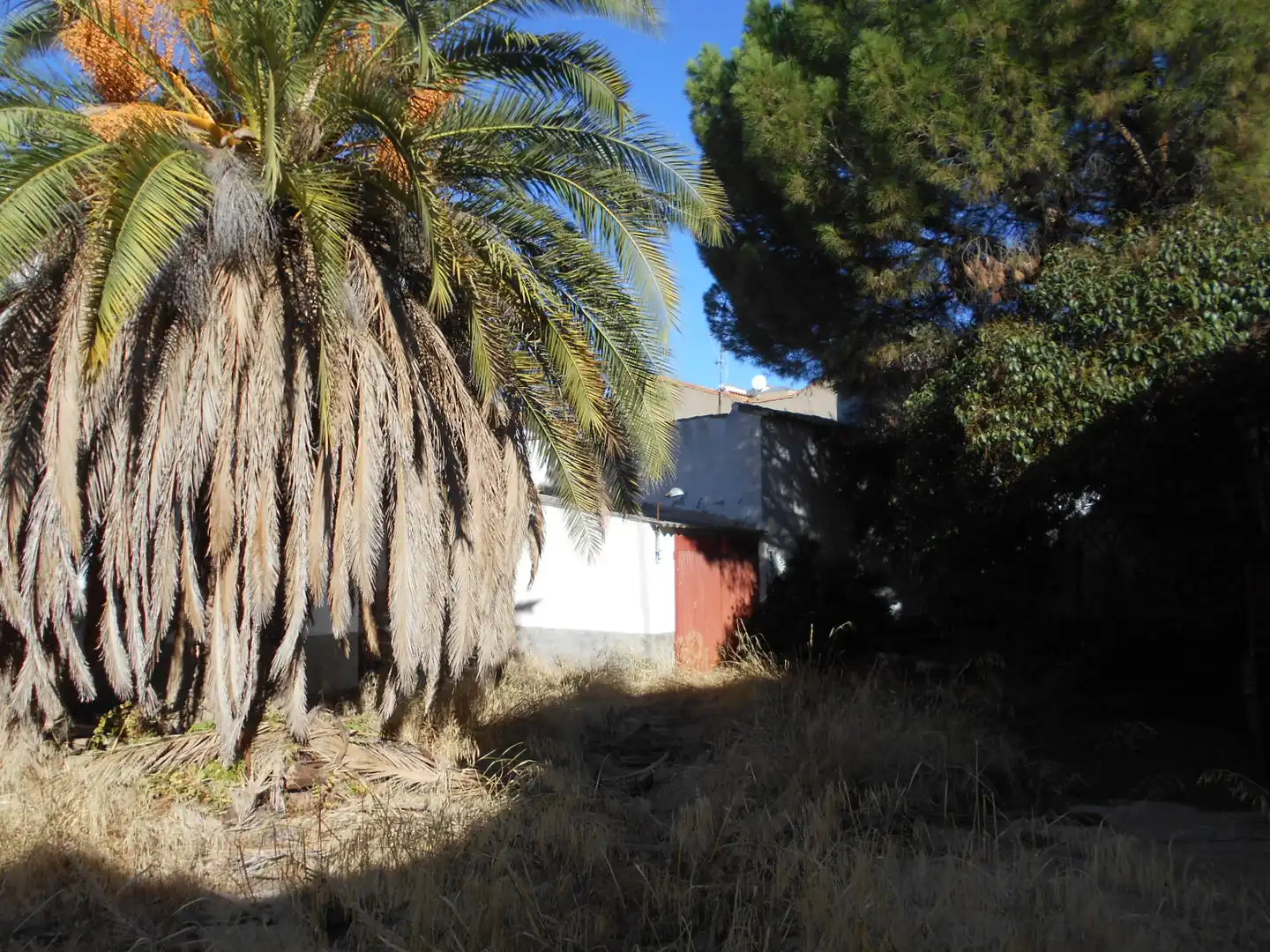 Casa en venta en Calle Inmaculada, imagen 4