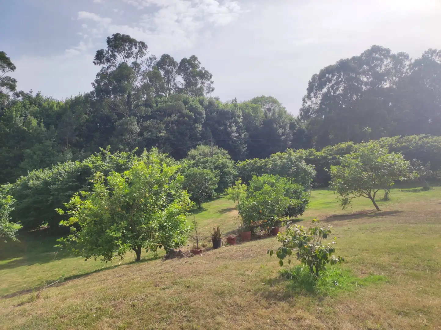 Chalet con jardín en venta en Carretera de la Granda, imagen 61