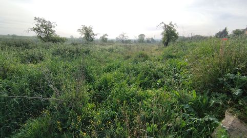 Finca Rúst. en venta en Castelldans., immagine 3