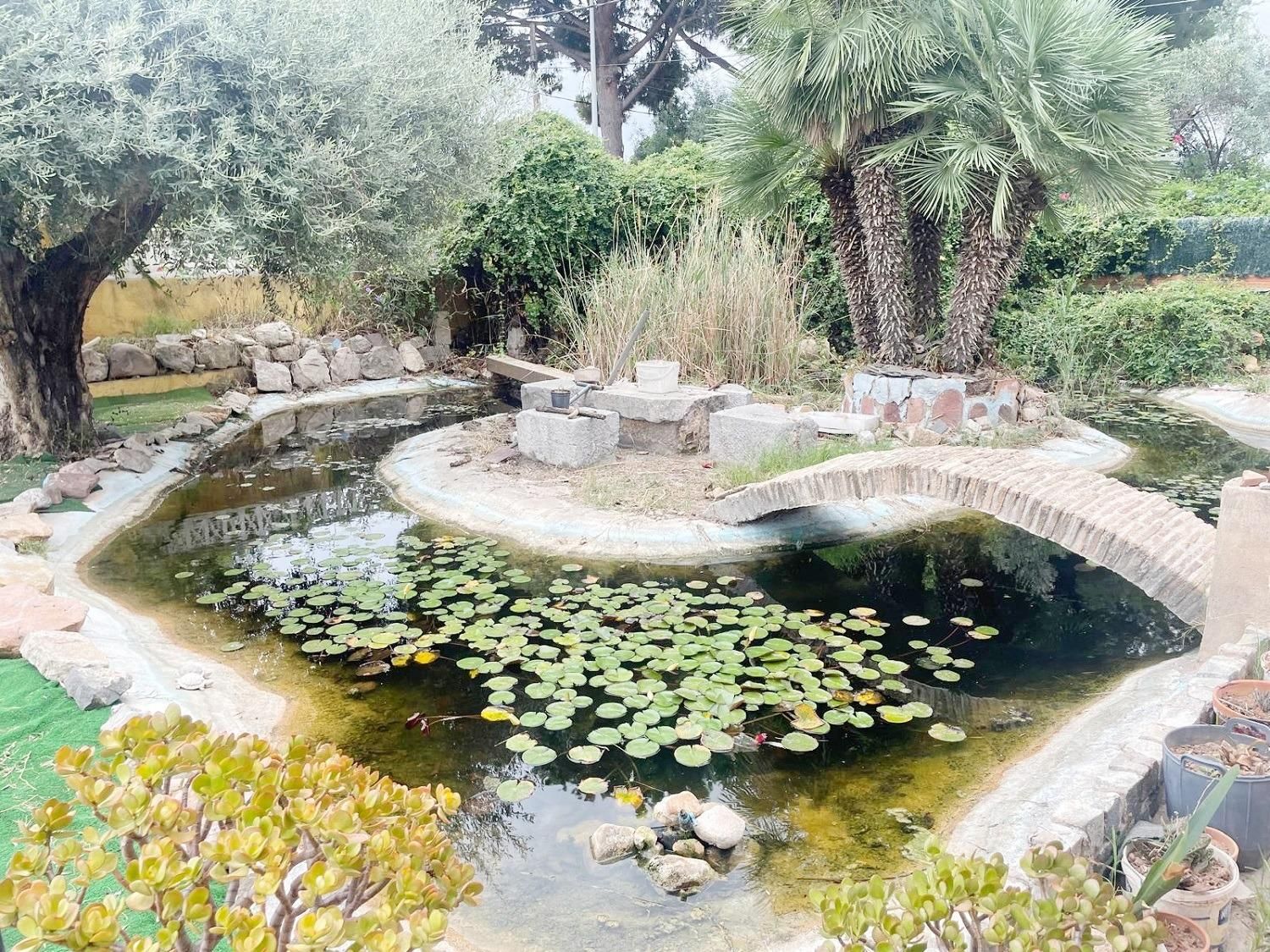 Garden of House or chalet for sale in Benicasim / Benicàssim  with Private garden, Terrace and Swimming Pool