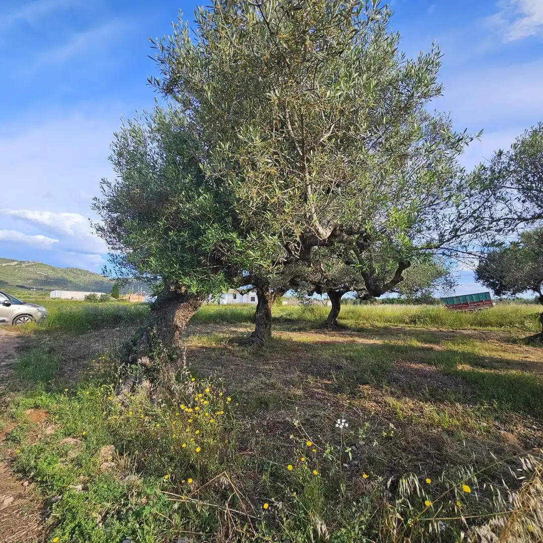 Terrain rustique à vendre à Casc Antic, imagen 5