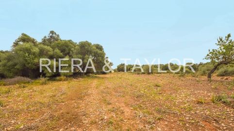 Foto 4 de Terreno en venta en Cales de Mallorca, Manacor