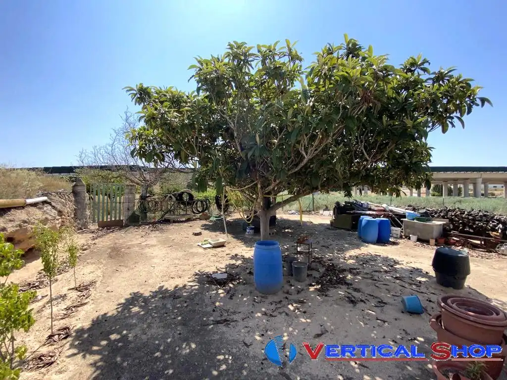 Chalet en venta en Carretera Yecla, imagen 29
