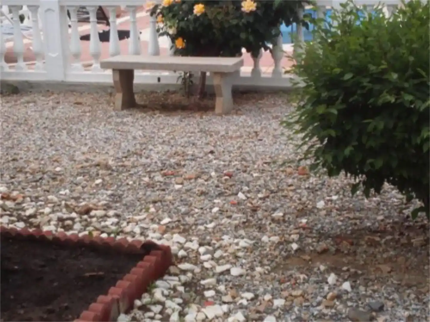 Jardí de Finca rústica en venda en Guadix amb Aire condicionat, Jardí privat i Piscina