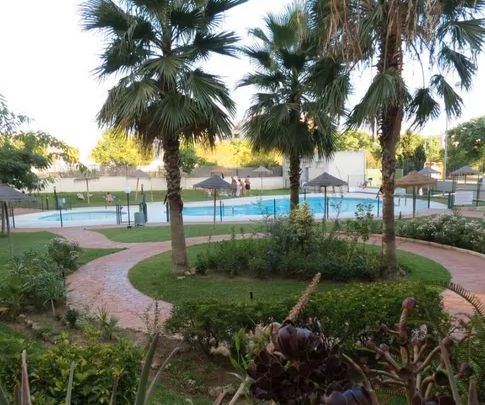 Swimming pool of Flat to rent in Málaga Capital  with Air Conditioner, Terrace and Storage room