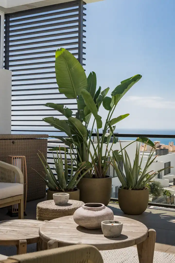 Terrace of Detached homes for sale in Mijas  with Private garden and Swimming Pool