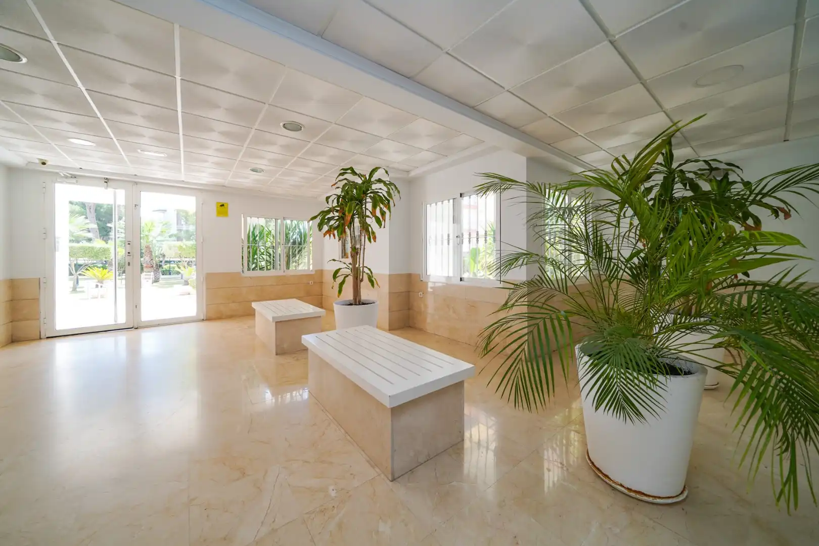 Wohnung zur Miete in Campoamor