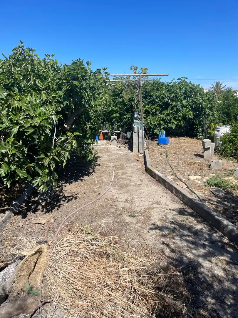 Terreno rustico in vendita a Barrio Torre Alta 18, imagen 17
