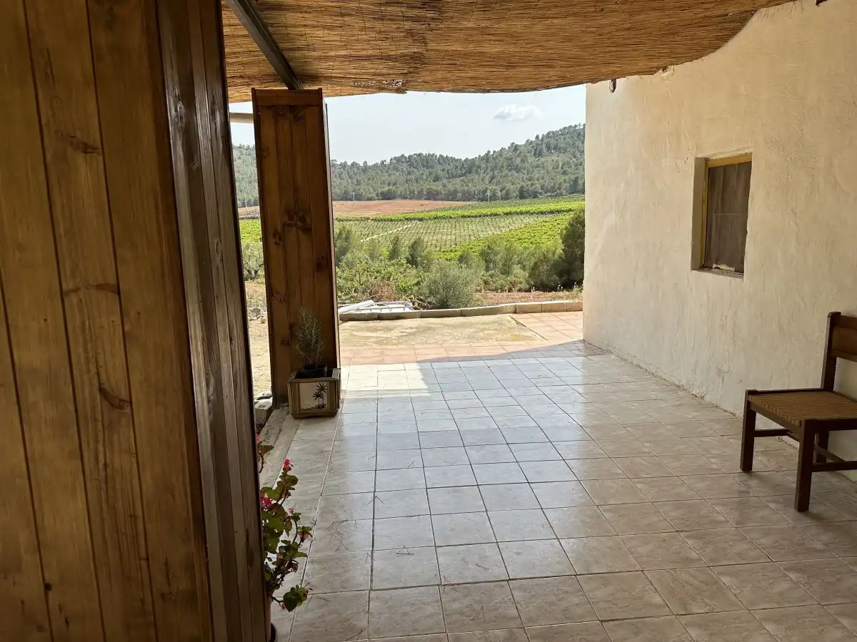 Terrace of Houses for sale in Algar de Palància  with Terrace and Storage room