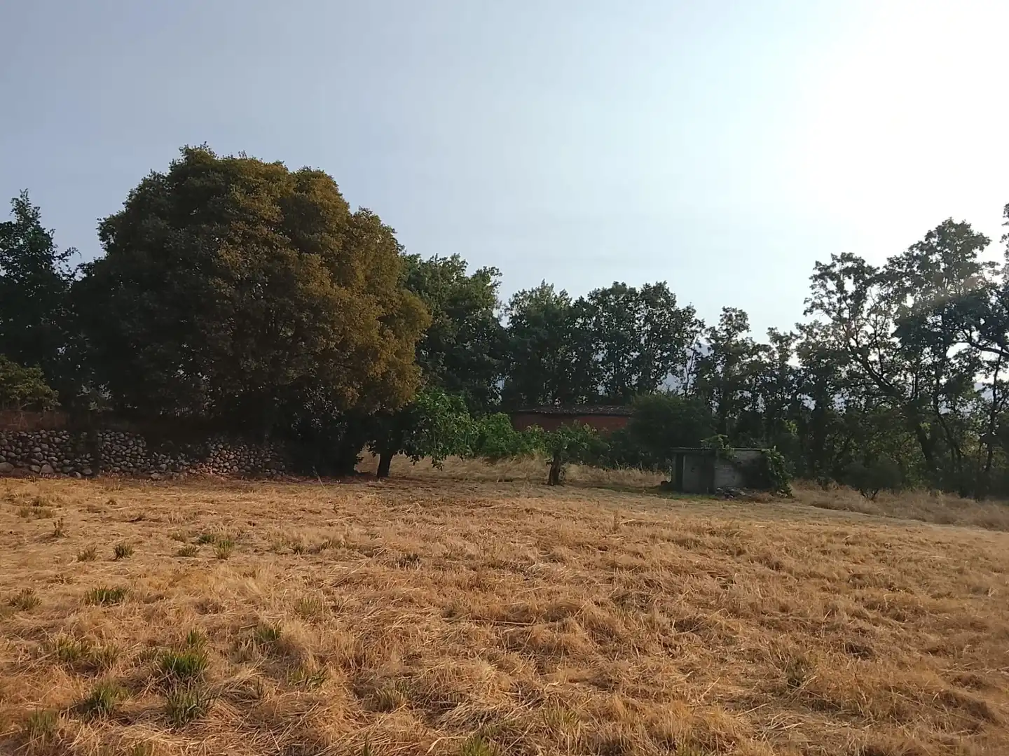 Terreni e lotti in vendita a Villanueva de la Vera, imagen 2