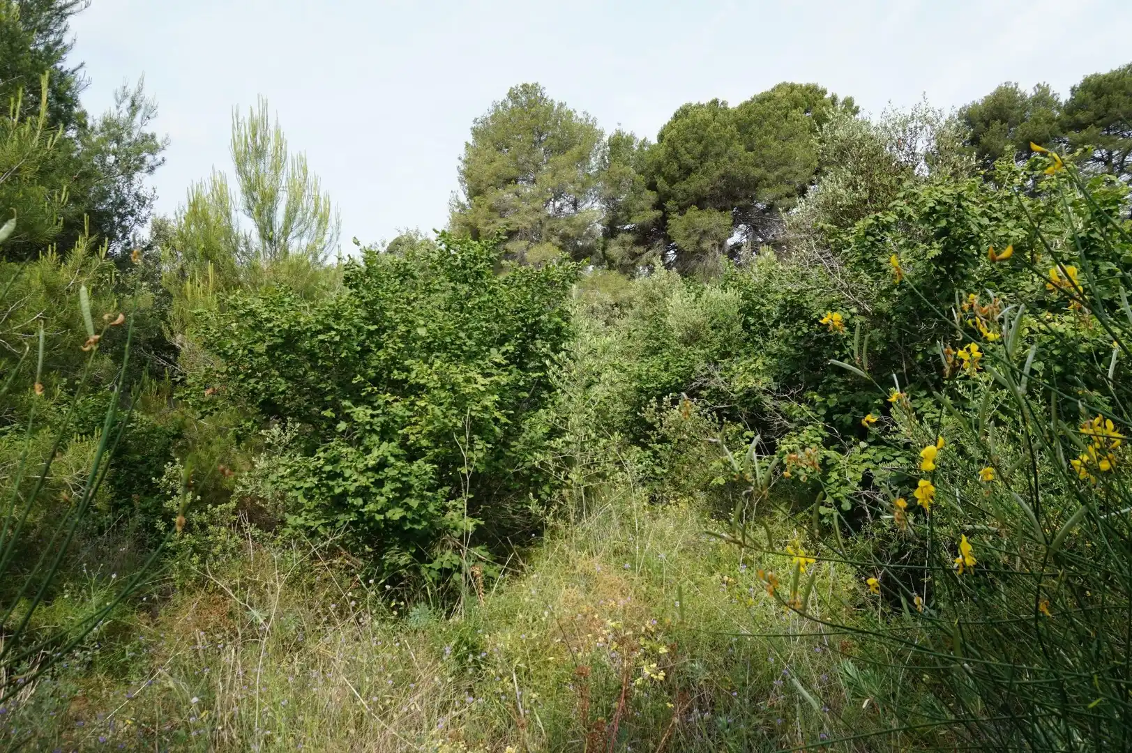 Maison rustique à vendre à Les Borges del Camp, imagen 16