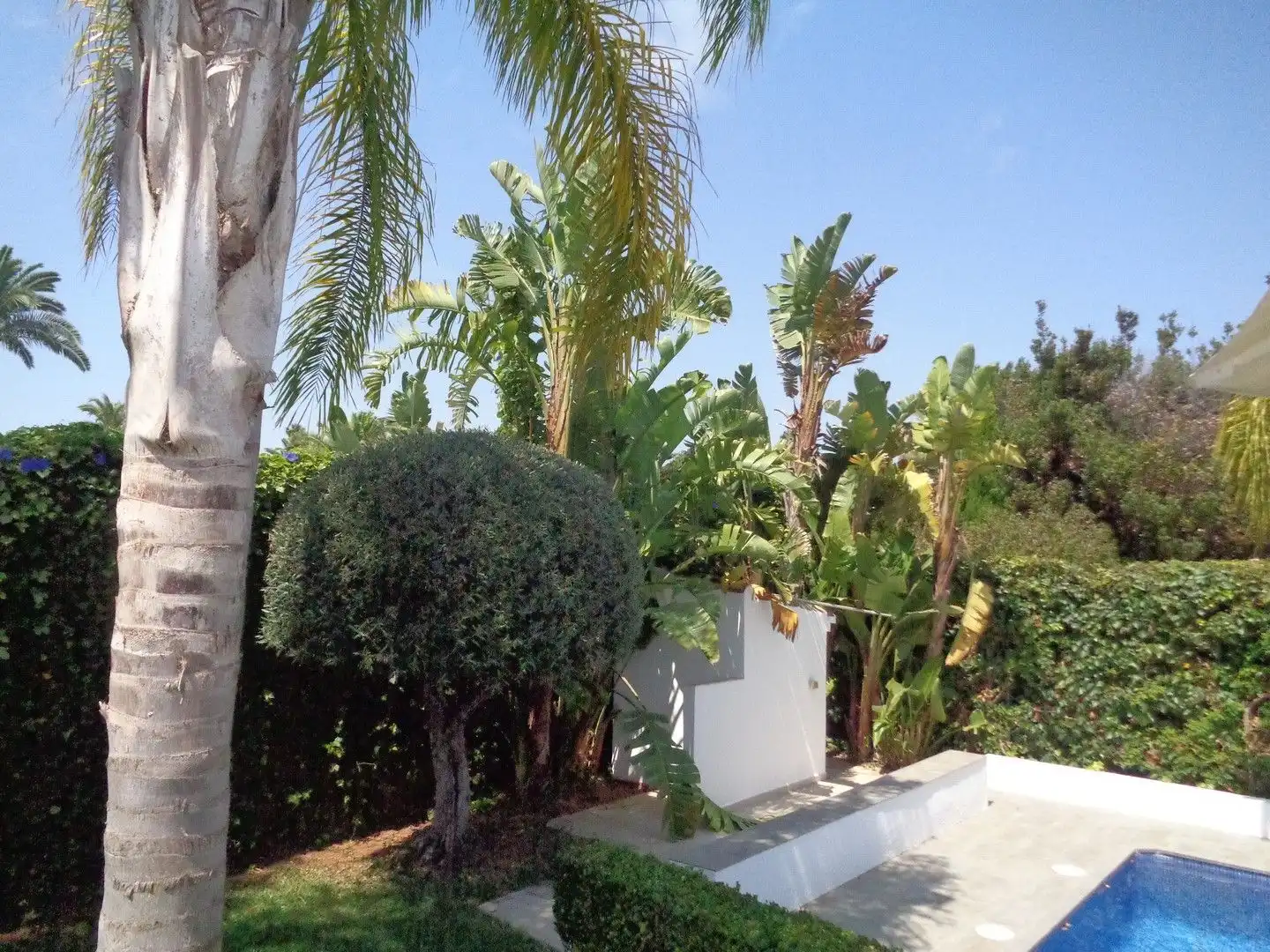 Jardí de Casa o xalet en venda en Jávea / Xàbia amb Aire condicionat, Calefacció i Jardí privat