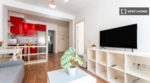 Foto 5 de Estudi per a compartir a Cristo de la Epidemia, Málaga Capital