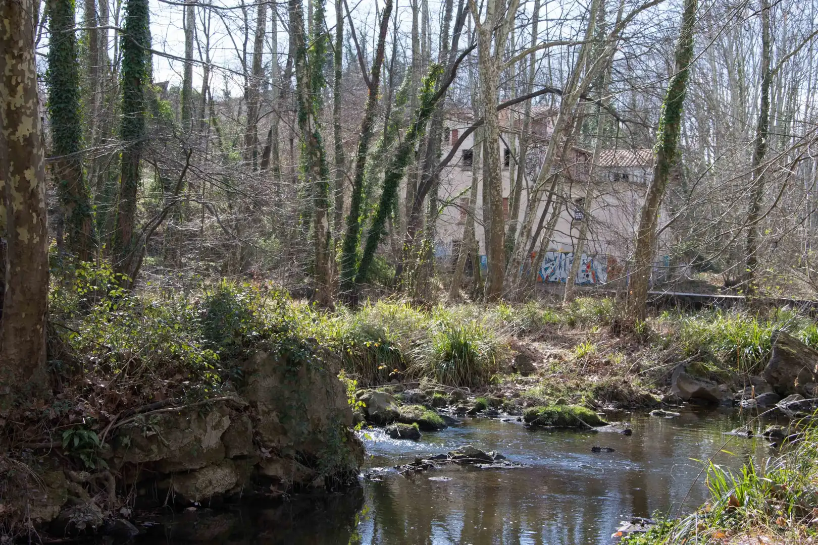 Vista exterior de Casa o chalet en venta en Olot con Terraza