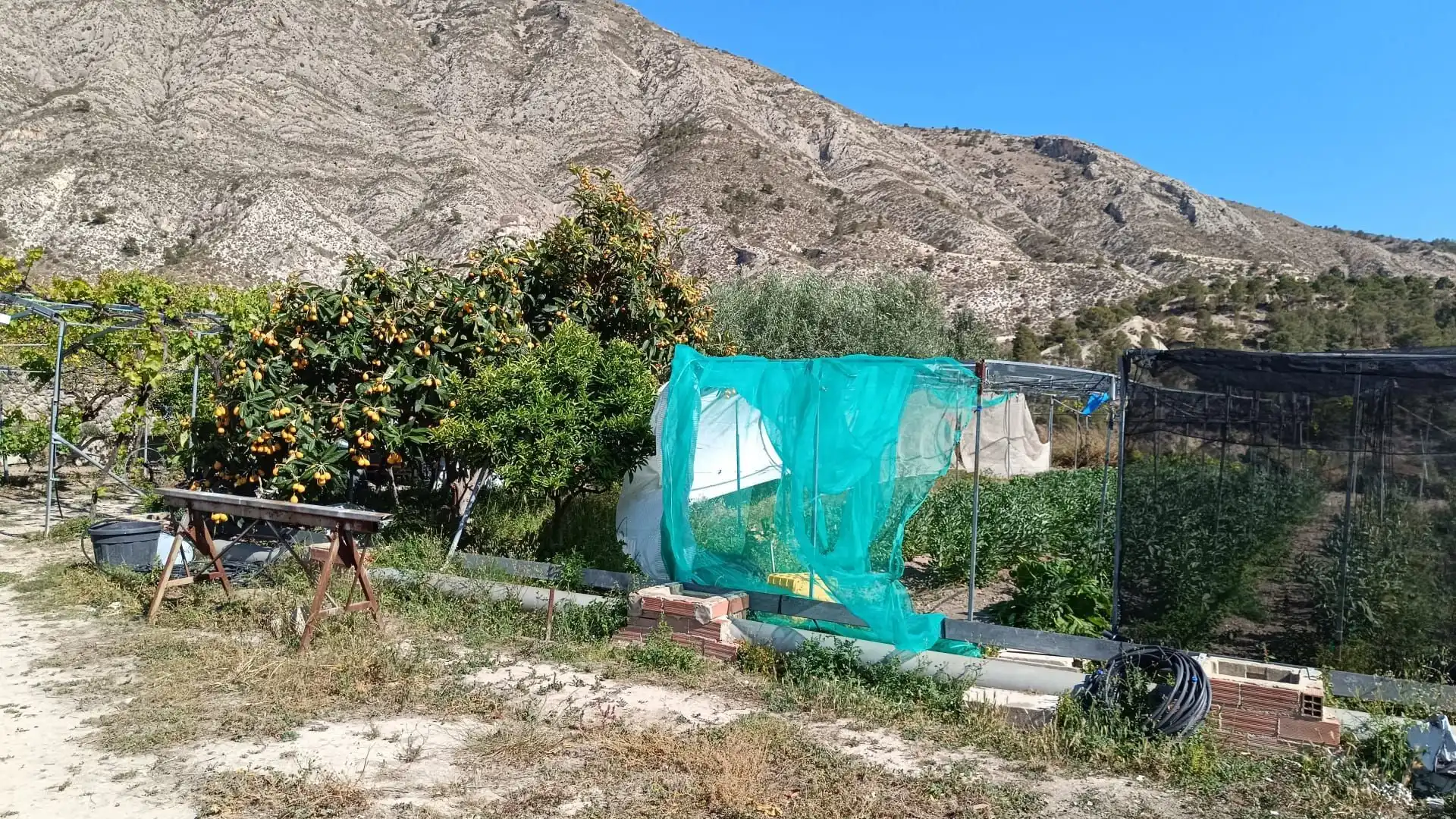 Terrenos y solares en venta en Orxeta, imagen 7