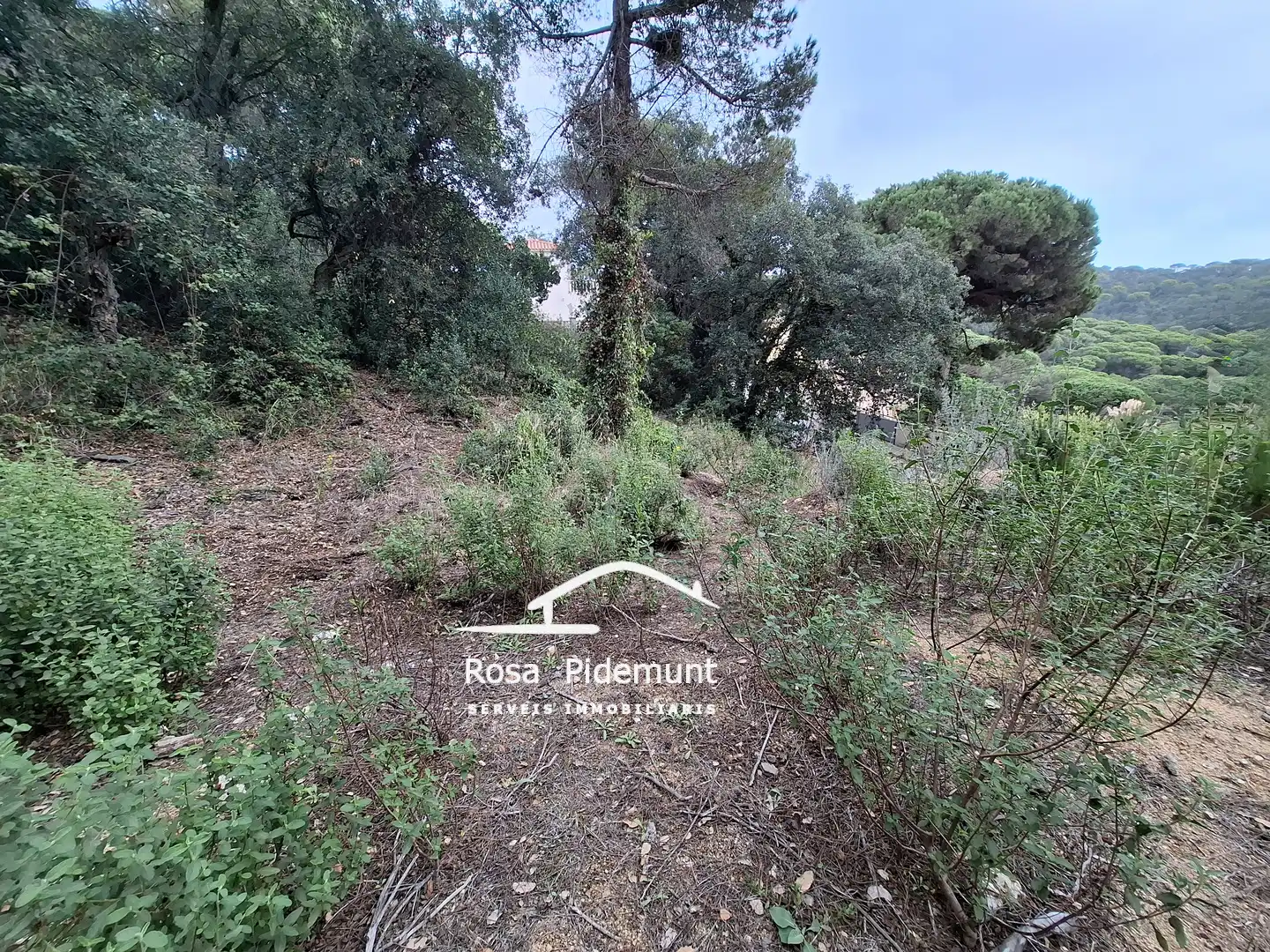 Terreno residencial en venta en Serra Brava, imagen 7