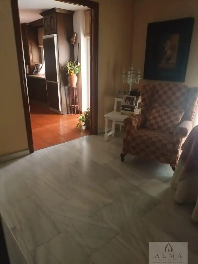 Living room of Duplexes for sale in Almendralejo