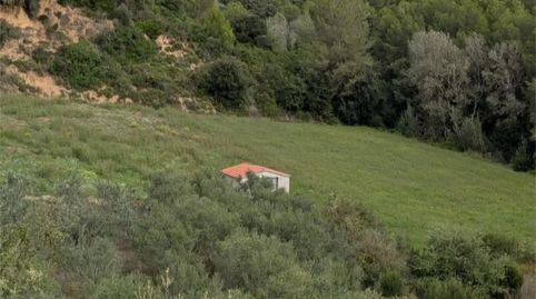 Foto 2 de Finca rústica en venda a Carrer del Torrent Fondo, 15, Sant Llorenç d'Hortons, Barcelona