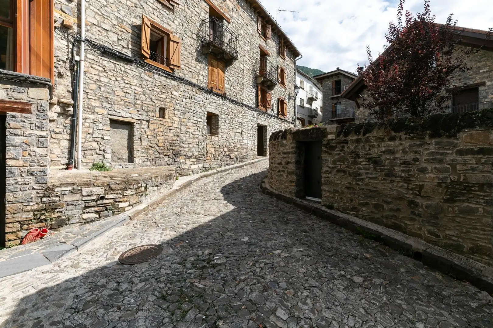 Vista exterior de Casa o chalet en venta en Biescas con Trastero