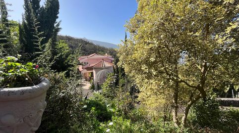 Foto 4 de Casa o chalet en venta en La Perdoma - San Antonio - Benijos, La Orotava