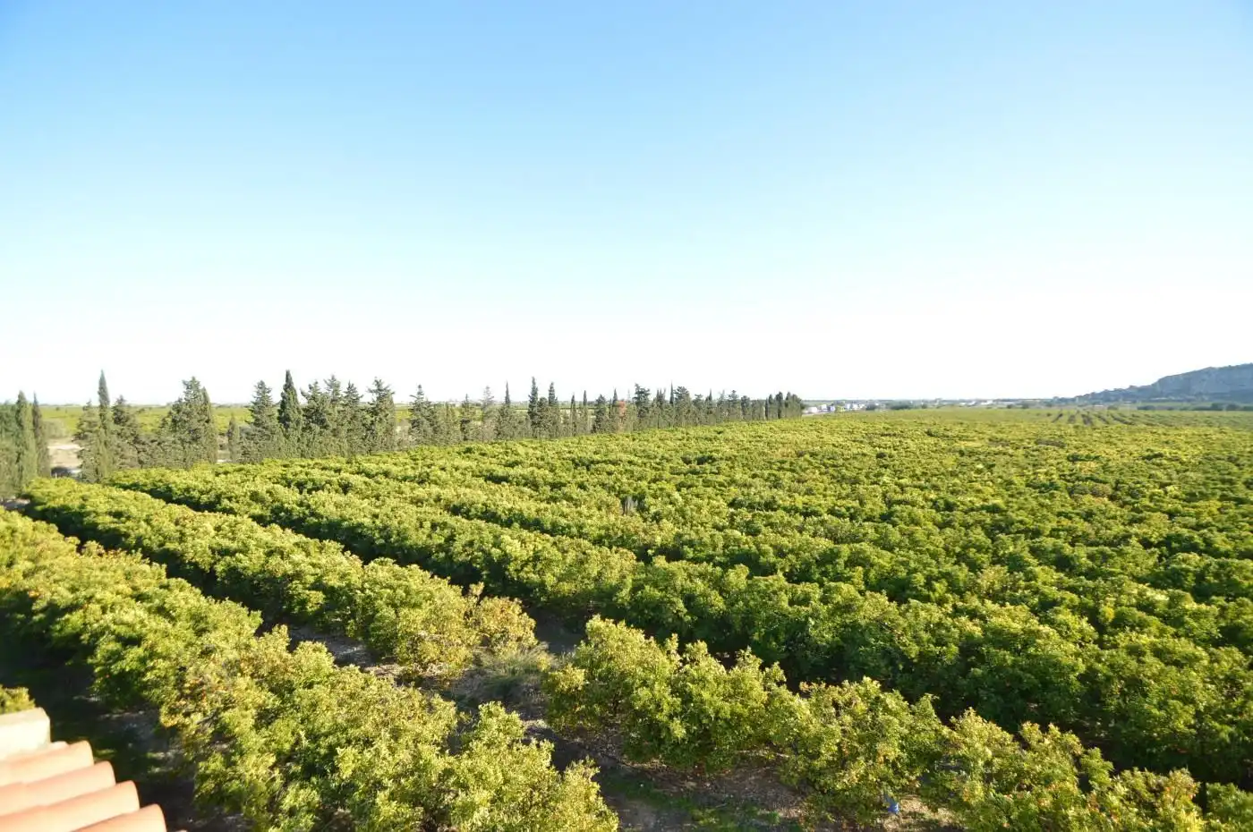 Casa o chalet en venta en Benicarló con Aire acondicionado, Calefacción y Jardín privado