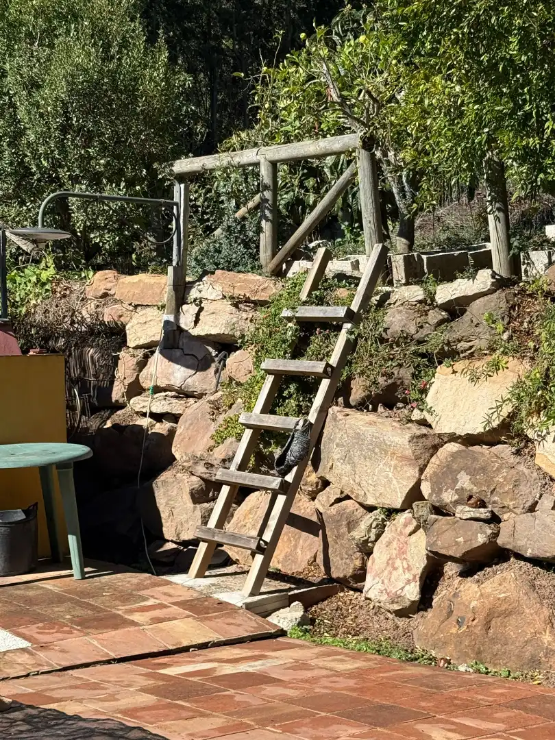Bungalow con piscina in vendita a El Cuartón - El Bujeo, imagen 51