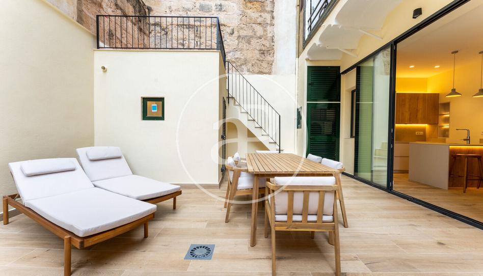 Photo 1 of Flat to rent in Carrer D'andrea Doria, Son Armadans, Illes Balears