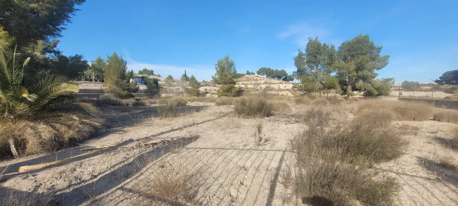 Land for sale in Molina de Segura