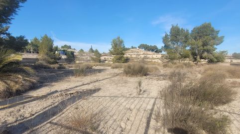 Photo 5 of Land for sale in Molina de Segura - Camino del Panderón, 31, Fátima - El Panderón, Molina de Segura
