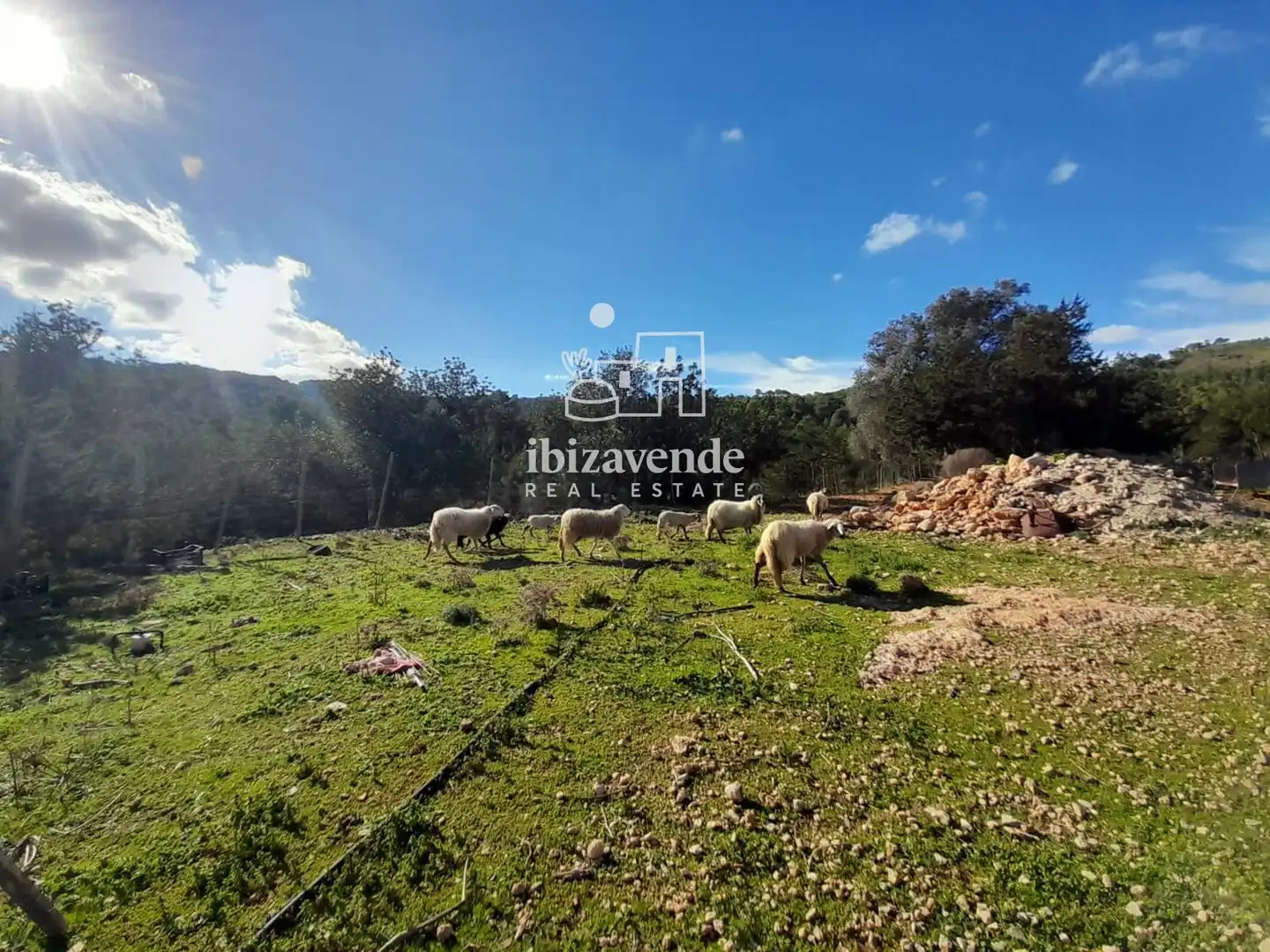 Houses for sale in Sant Joan de Labritja  with Furnished