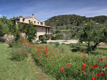 Terreno rustico in vendita a La Fresneda