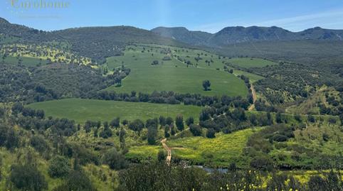 Foto 2 de Finca rústica en venda a Centro - Plaza Mayor, Ciudad Real Capital