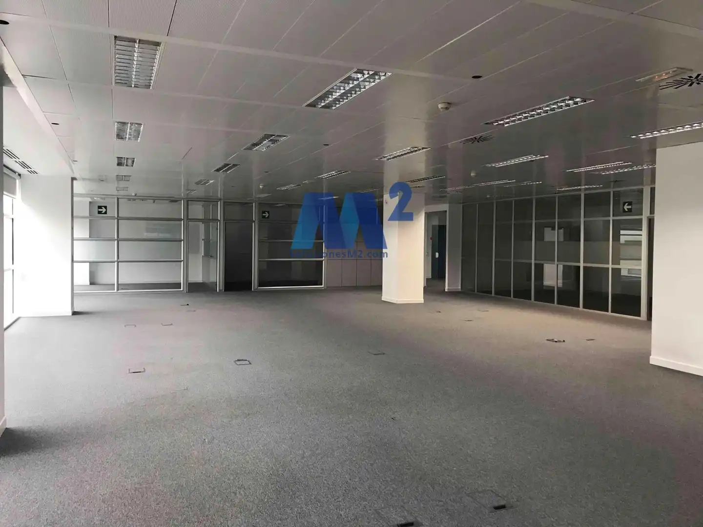 Office space to rent in Anabel Segura, imagen 17