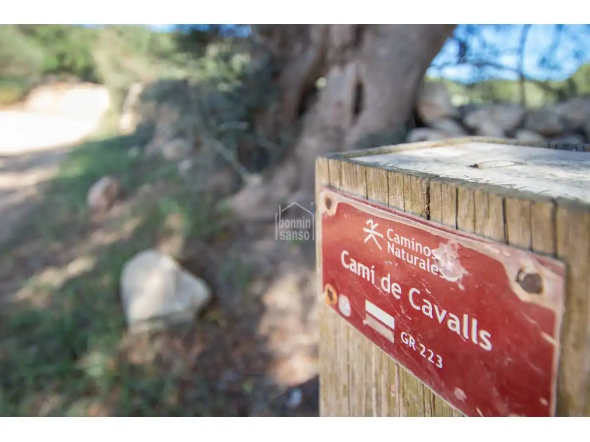 Country homes for sale in Son Bou - Sant Jaume